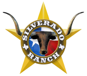 High Rez No BK - SR logo 1450 x 1270 pix A++